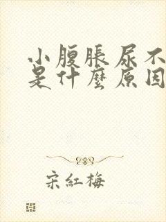 小腹胀尿不出来是什么原因男