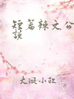 短篇辣文公交小说