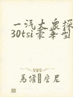 一汽大众探岳330tsi豪华型报价