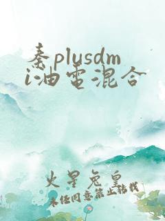 秦plusdmi油电混合