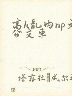 高h乱肉np文公交车