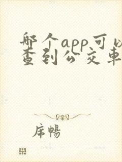 哪个app可以查到公交车实时走到哪
