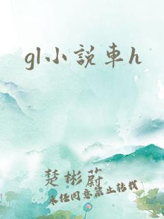 gl小说车h