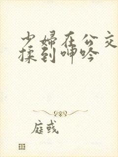 少妇在公交车被揉到呻吟