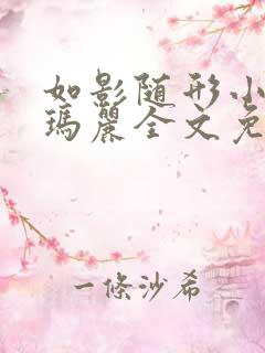 如影随形小说苏玛丽全文免费阅读