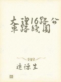 大理16路公交车路线图