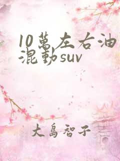 10万左右油电混动suv