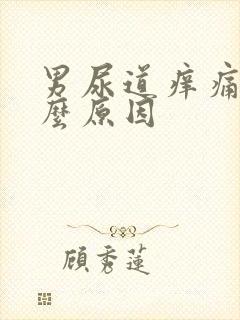 男尿道痒痛是什么原因