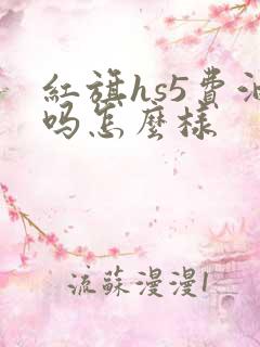 红旗hs5费油吗怎么样