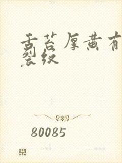 舌苔厚黄有齿痕裂纹