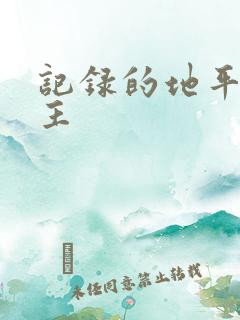 记录的地平线女主