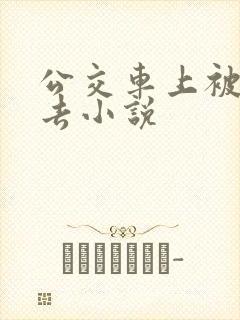 公交车上被插进去小说