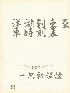 洋湖到东至公交车时刻表