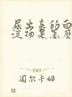 尿出来的白色沉淀物是怎么回事