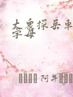 大众探岳车后面字母