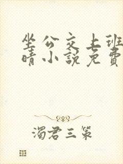 坐公交上班的苏晴小说免费阅读
