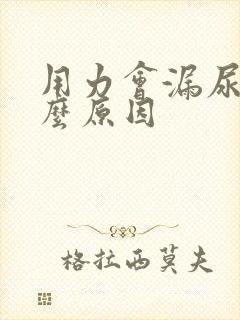 用力会漏尿是什么原因