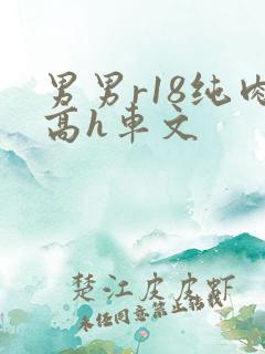 男男r18纯肉高h车文