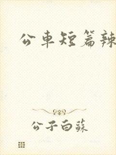 公车短篇辣文