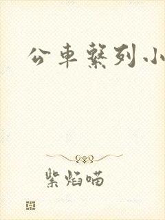 公车系列小说