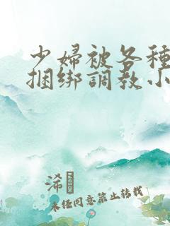 少妇被各种姿势捆绑调教小说