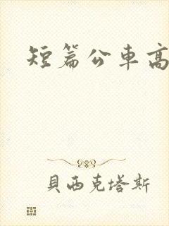 短篇公车高h