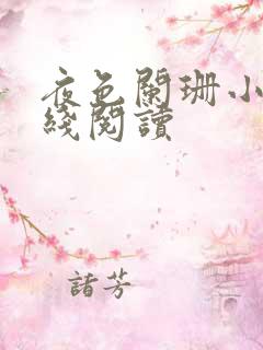 夜色阑珊小说在线阅读