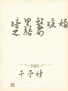 暗黑系暖婚林安之结局