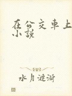 在公交车上被上小说