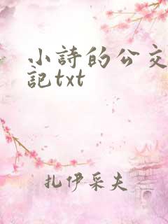 小诗的公交车日记txt