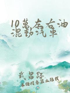 10万左右油电混动汽车