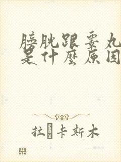 膀胱跟睾丸疼痛是什么原因