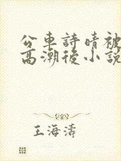 公车诗晴被弄到高潮后小说