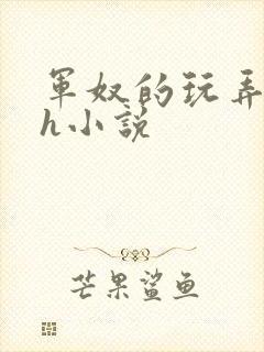 军奴的玩弄调教h小说