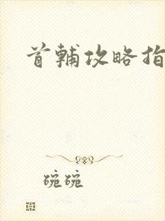 首辅攻略指南