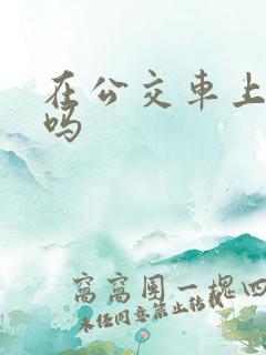 在公交车上舒服吗