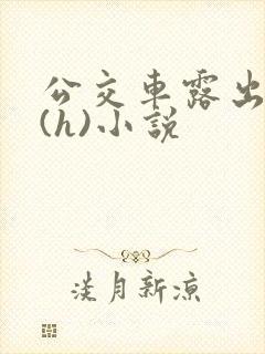公交车露出调教(h)小说