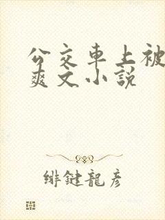 公交车上被强上爽文小说
