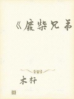《废柴兄弟》
