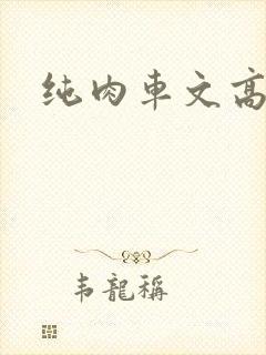 纯肉车文高h