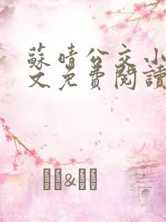 苏晴公交小说全文免费阅读