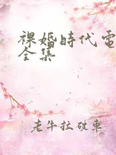 裸婚时代电视剧全集
