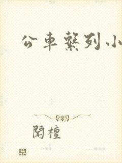 公车系列小