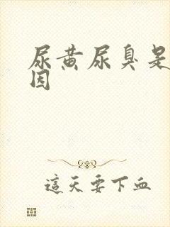 尿黄尿臭是啥原因