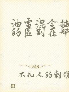 油电混合插电混的区别在哪