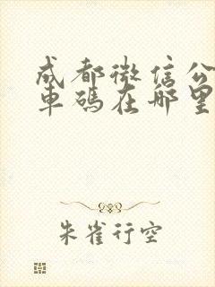 成都微信公交乘车码在哪里