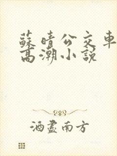 苏晴公交车被弄高潮小说