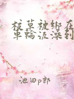 校草被绑在公交车轮流澡到高潮h