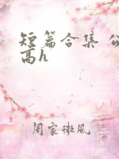 短篇合集 公车高h