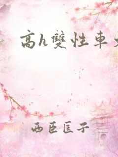 高h双性车文